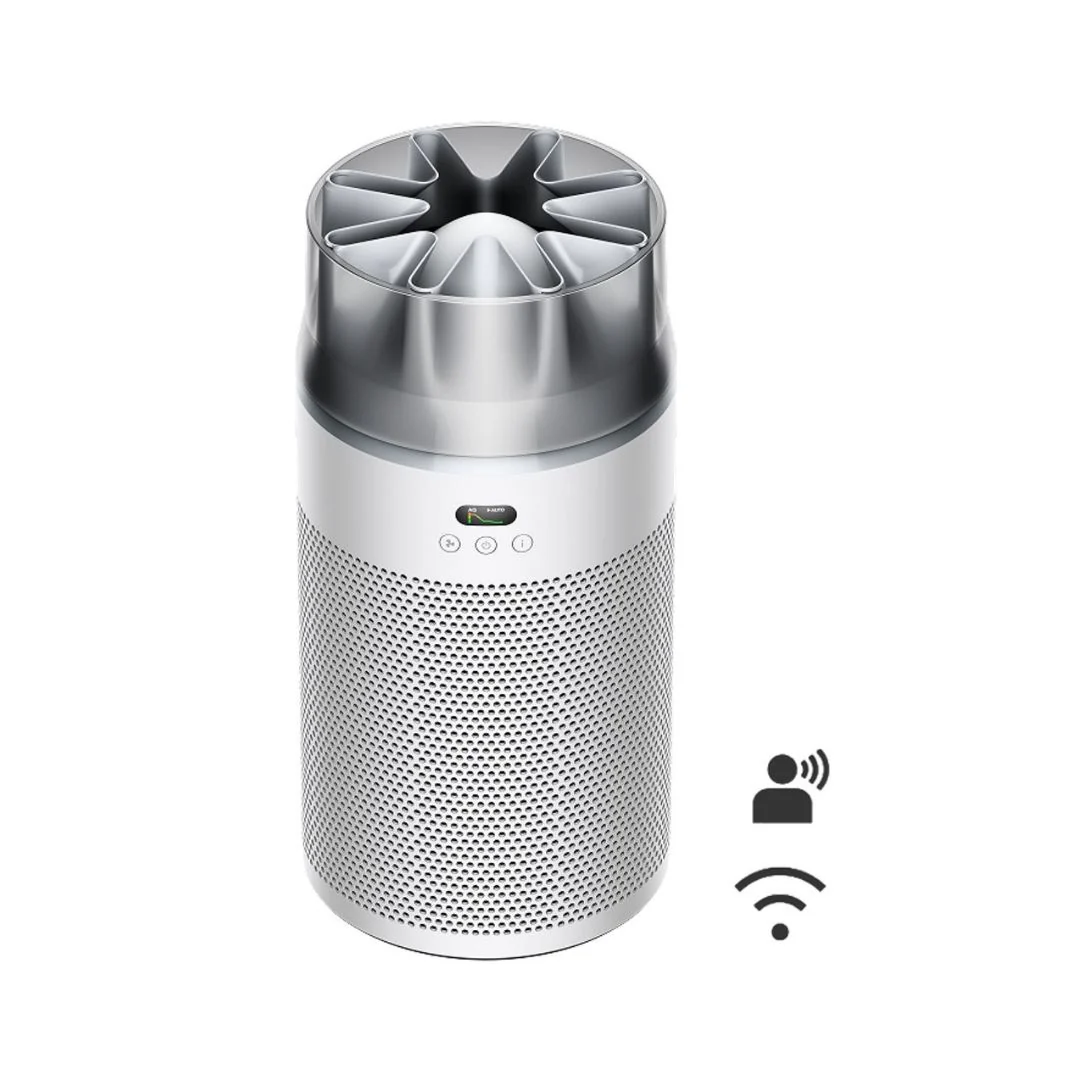 Dyson